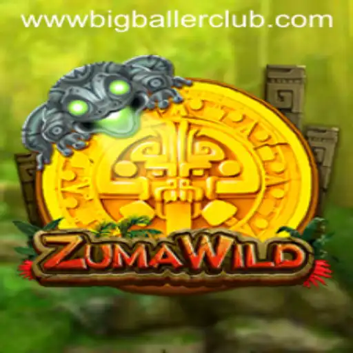 Exploring the Exciting World of ZumaWild and the Big Baller Club